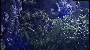 還枝格格 (2000)